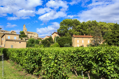 Vines at outskirts of Puymeras village in Provence-Alpes-Côte d'Azur region, France.
