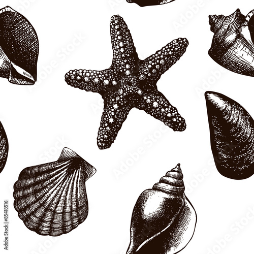 Vintage background with ink hand drawn sea shells. Seamless vector pattern