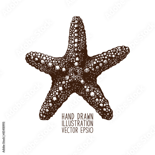 Vector sketch with hand drawn sea stars.