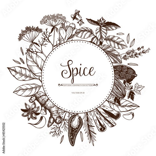 Vector card design with hand drawn spices and herbs. Decorative colorful background with vintage spice sketch.
