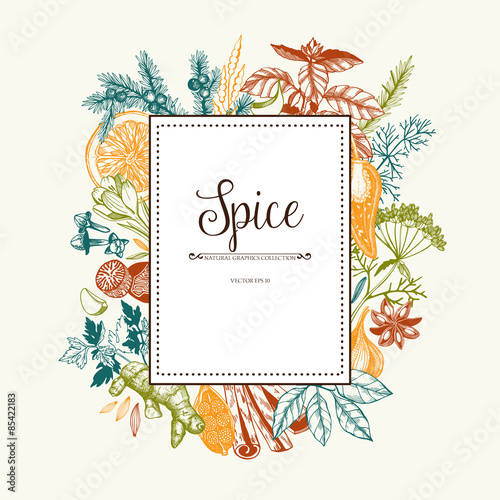 Vector card design with hand drawn spices and herbs. Decorative colorful background with vintage spice sketch.