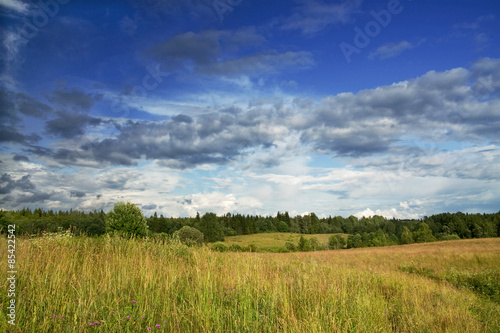 Green meadow under dramatic sky landscape