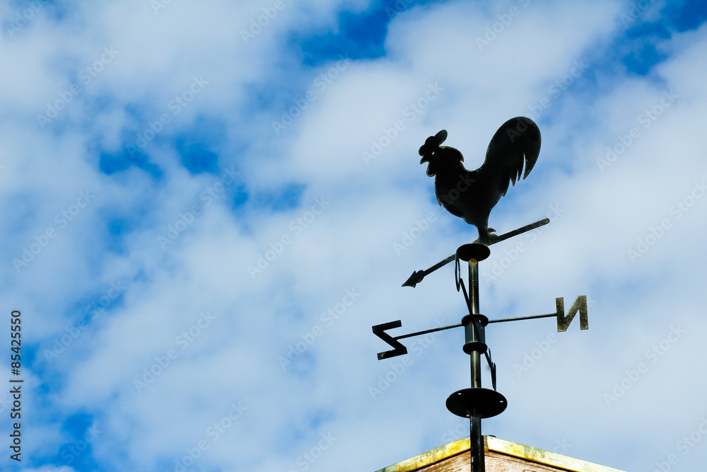 Black weathervane in the form of a rooster.
The background has a blue sky with clouds. Black weathervane in the form of a rooster.
The background has a blue sky with clouds.