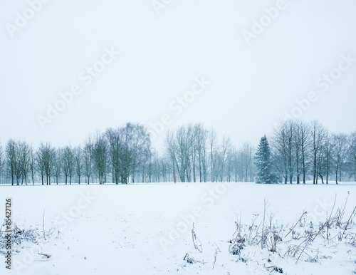 Verschneite Winterlandschaft mit Waldrand © Christian Hein Photo