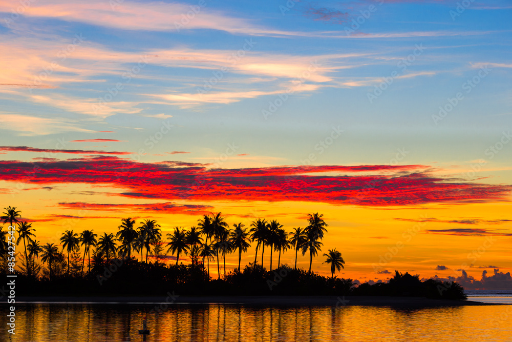 Dark silhouettes of palm trees and amazing cloudy sky at sunset Dark silhouettes of palm trees and amazing cloudy sky at sunset