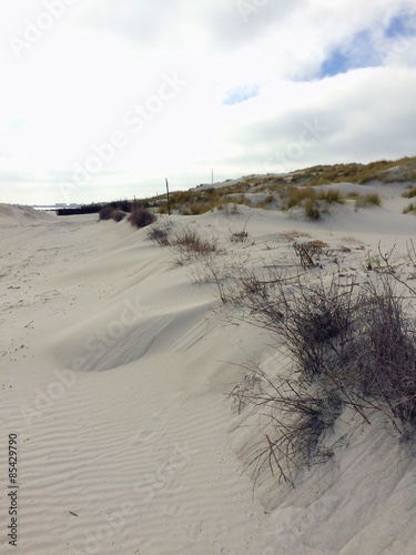 Fototapeta Naklejka Na Ścianę i Meble -  Sand dune