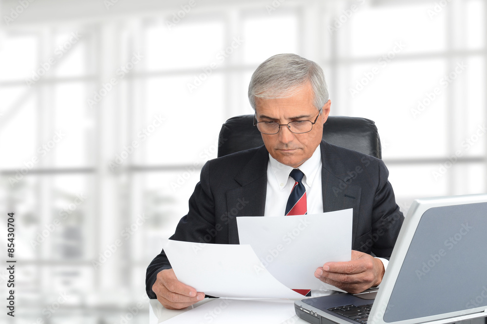 Senior Businessman With Documents Senior Businessman With Documents