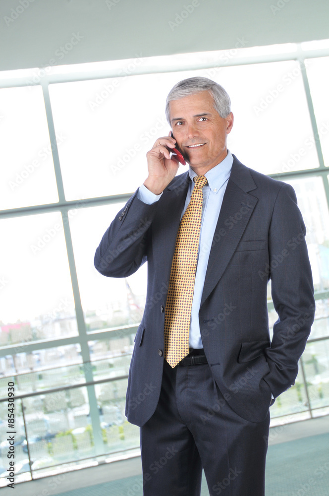 Middle aged Businessman Talking on Cell Phone Middle aged Businessman Talking on Cell Phone