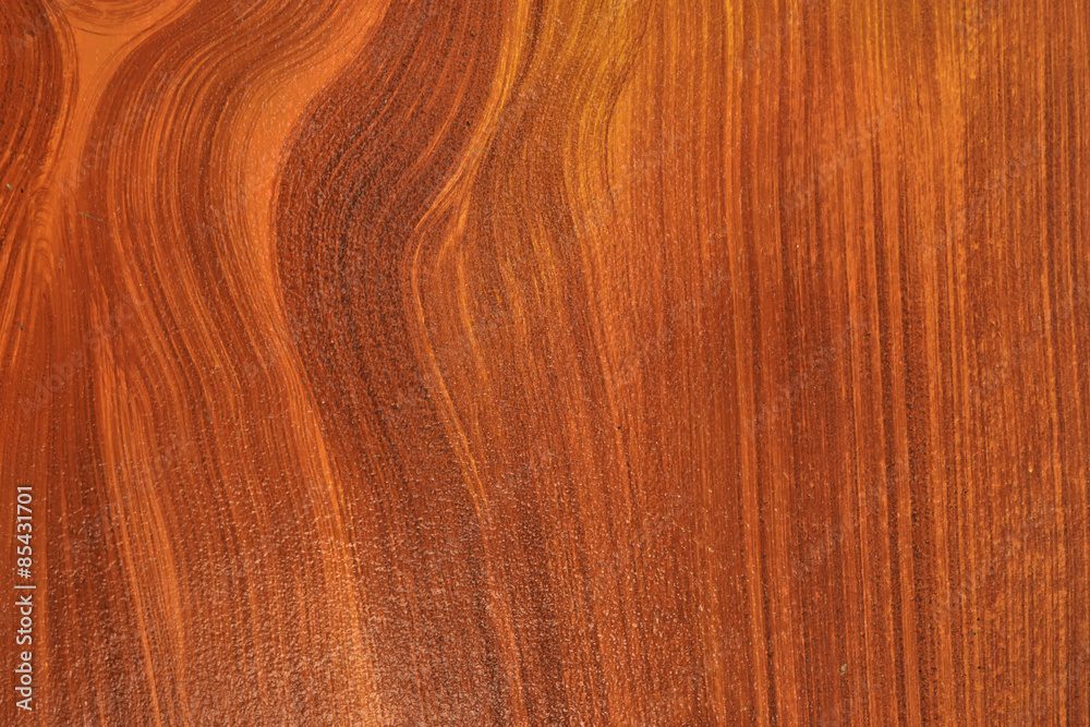 wood texture wood texture