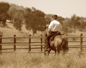 A sepia photo of a cowboy riding his horse in a meadow along a fence.