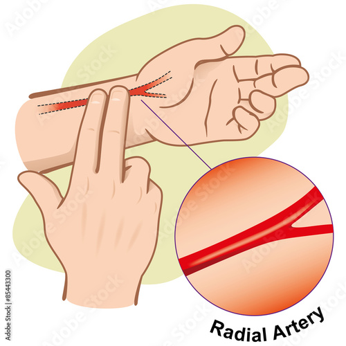 Photography First Aid measuring pulse by Radial Artery
