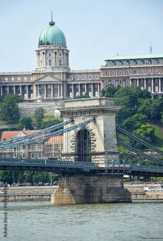 Fototapeta premium Chain Bridge and the Royal palace of Buda, Budapest, Hungary