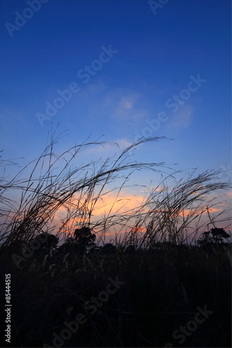 Twilight countryside, hay