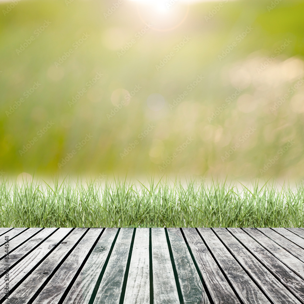 Fresh spring green grass with green bokeh and sunlight and wood Fresh spring green grass with green bokeh and sunlight and wood