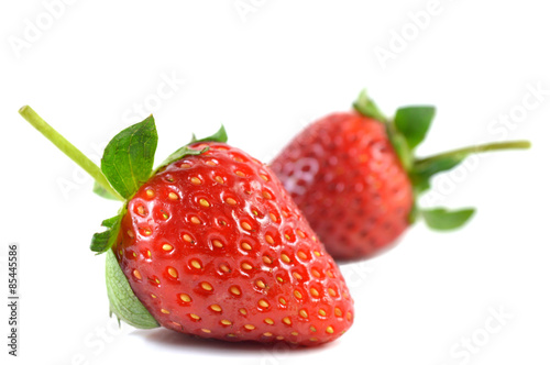 Strawberry, Fragaria sp., Family Rosaceae, Northern of Thailand
