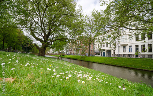 Westersingel Street near Museumpark in Rotterdam photo