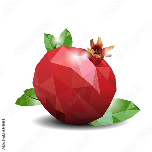 Pomegranate Low Poly Watercolor. Vector illustration