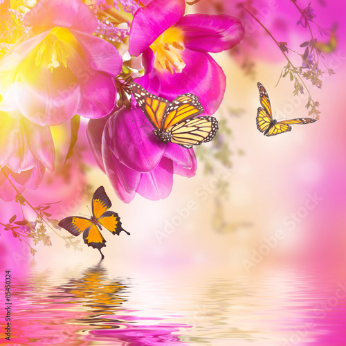 Blue tulips with mimosa and butterfly