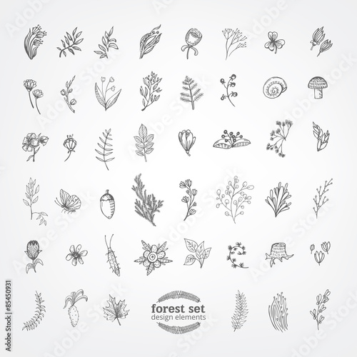 Hand Drawn vintage floral elements