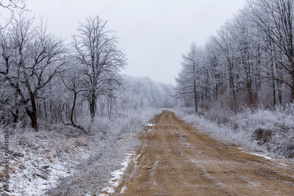 road covered with hoarfrost