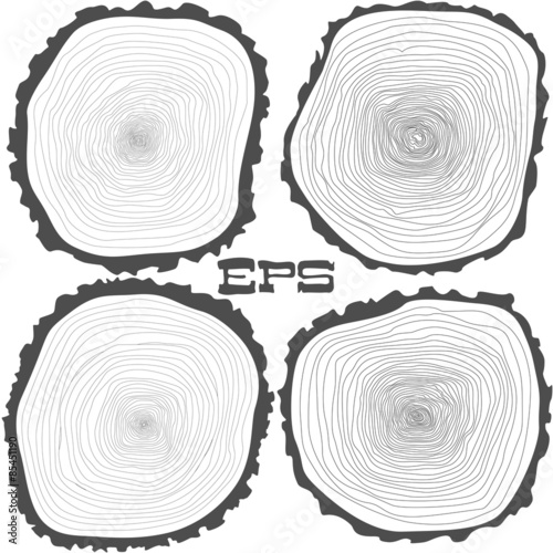 Vector tree rings background and saw cut tree trunk