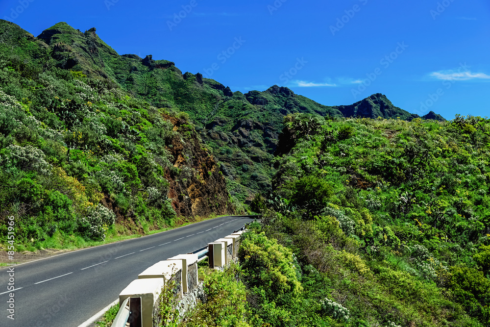 Asphalt road in green mountains