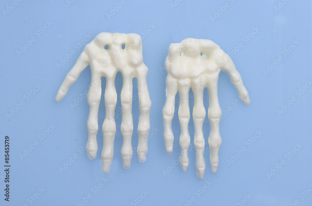 Der menschliche Körper - Handknochen