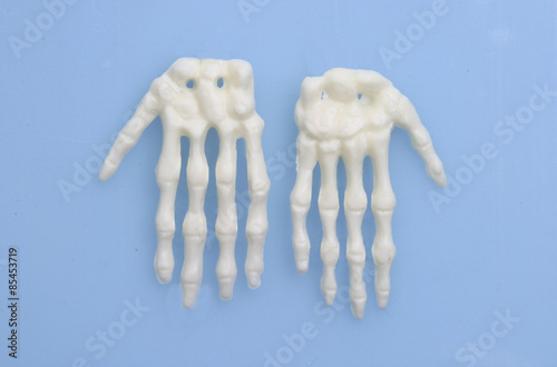 Der menschliche Körper - Handknochen photo