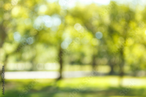 Blur natural and light background.