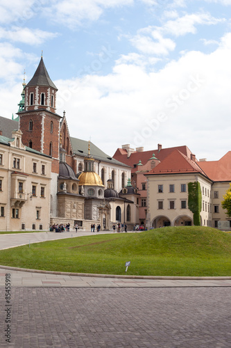 Wawel, Krakow #85455918