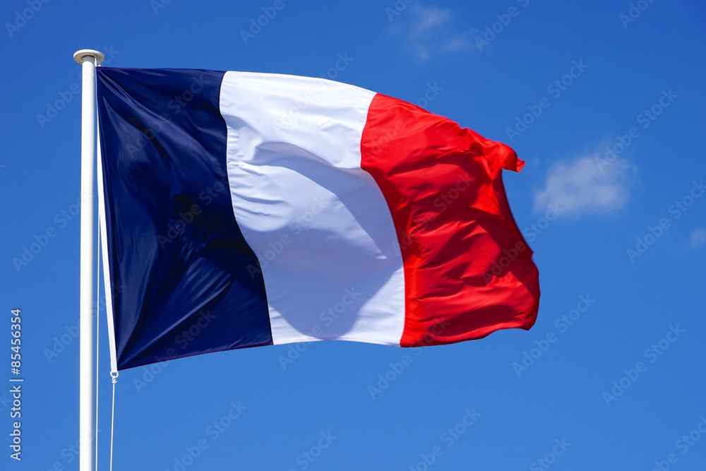 Fototapeta premium Drapeau Français 