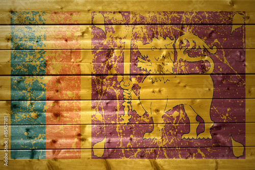 painted sri lanka flag on a wooden texture