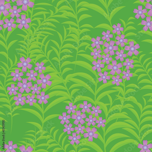 Seamless background with verbena flowers. Vector illustration