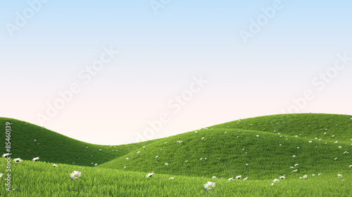green grass field 
