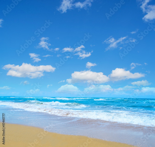 blue sea and golden shore in sardinia