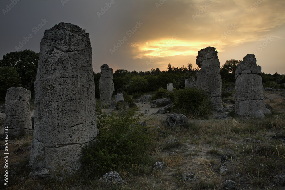 Pobiti Kamani (Stone forest) near Varna. Bulgaria