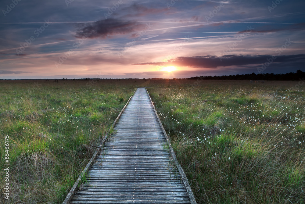 wooden path on marsh and sunset