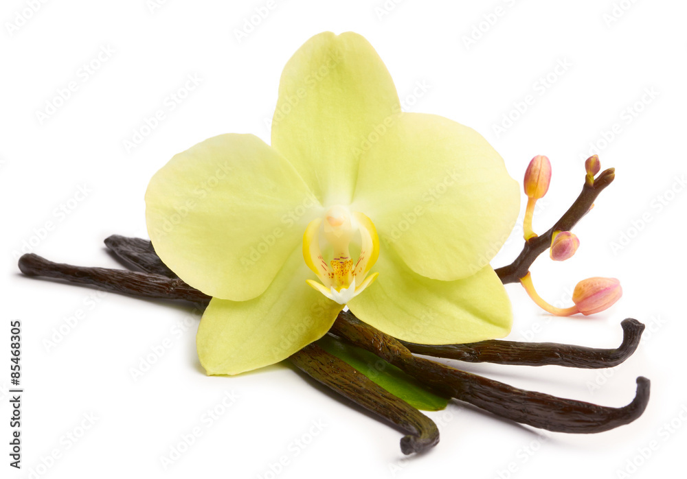 Vanilla sticks and yellow orchids - obrazy, fototapety, plakaty 