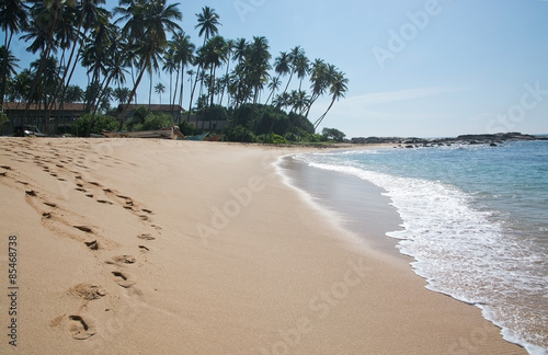 Paradise beach with green turquoise waves  coconut palm trees and fine untouched sand  Southern Province  Sri Lanka  Asia.