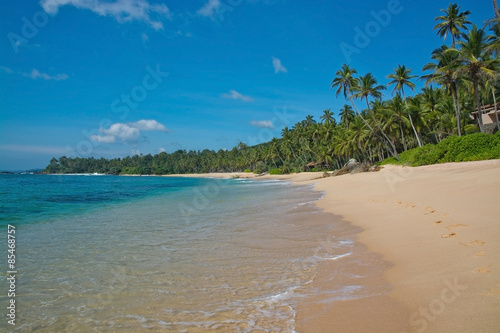 Fototapeta Naklejka Na Ścianę i Meble -  Paradise beach with green turquoise waves, coconut palm trees and fine untouched sand, Southern Province, Sri Lanka, Asia.