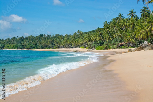 Paradise beach with green turquoise waves, coconut palm trees and fine untouched sand, Southern Province, Sri Lanka, Asia. © artesiawells