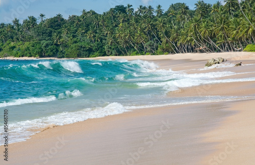 Paradise beach with green turquoise waves, coconut palm trees and fine untouched sand, Southern Province, Sri Lanka, Asia.