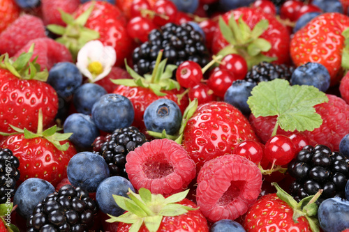 Beeren Fr  chte Mix mit Erdbeeren  Himbeeren und Kirschen