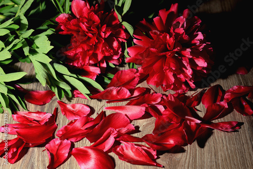 Background red flower petals