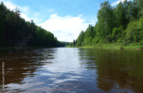 River bank with forest