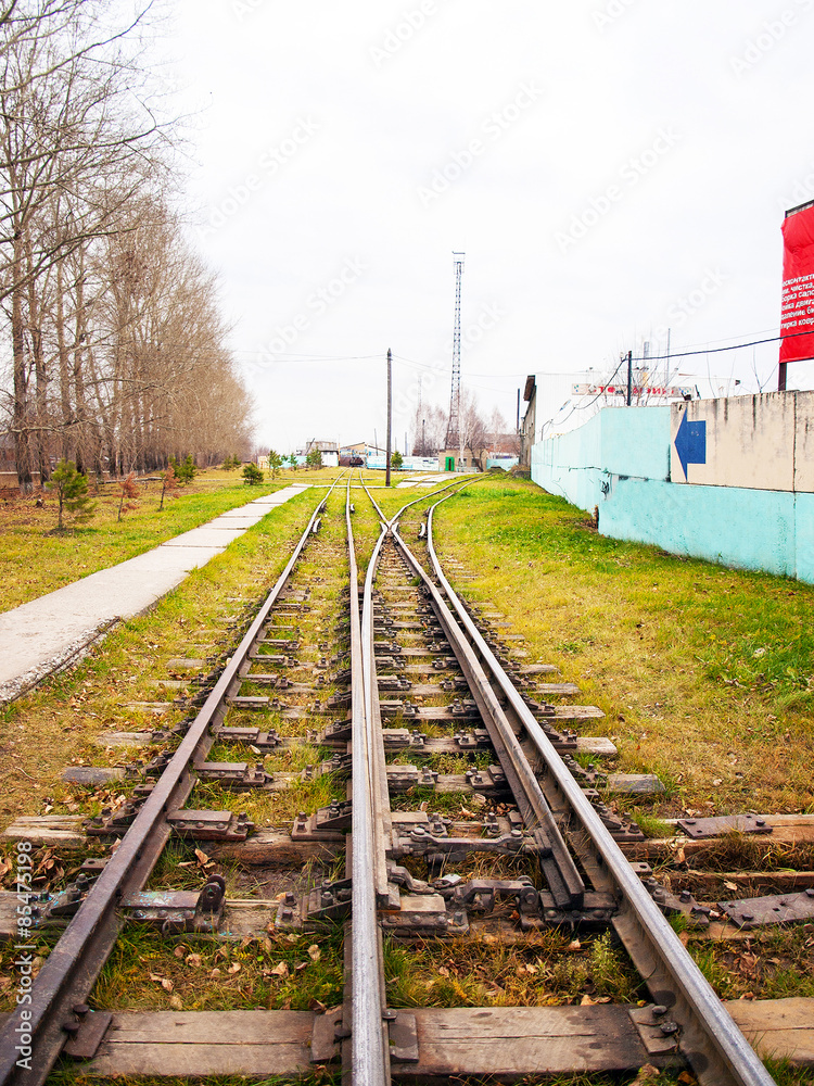 Fototapeta premium Narrow Gauge Railroad