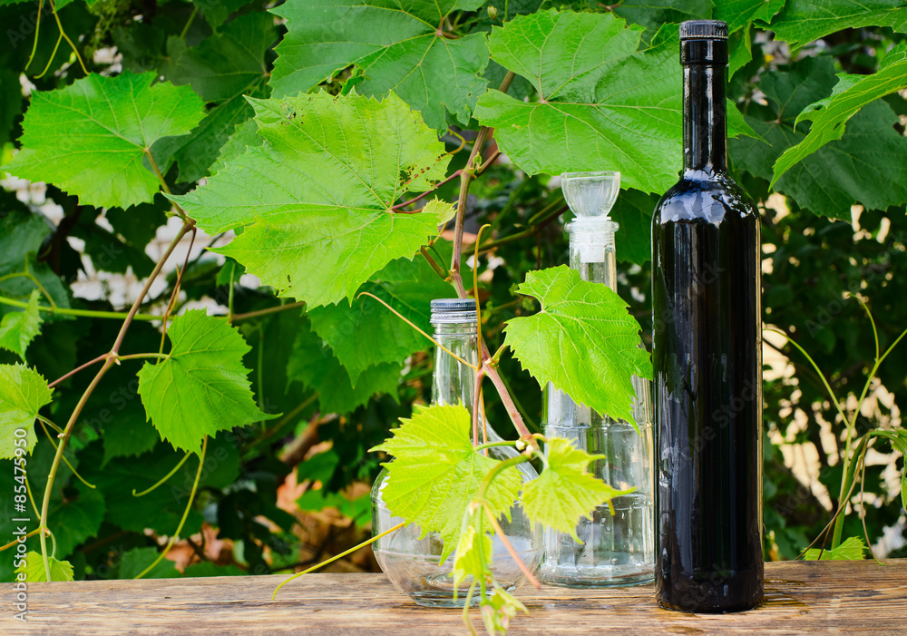 bottles in a vineyard
