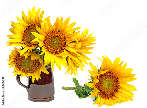 Fototapeta Naklejka Na Ścianę i Meble -  sunflowers in a vase