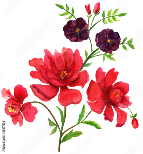 Wallpaper Mural A vintage-styled watercolour drawing of flowers Torontodigital.ca