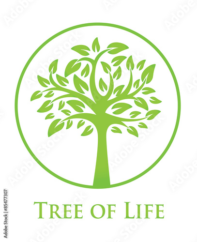 symbol of the tree of life